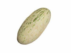 خربزه مناجاتی ( میوه)