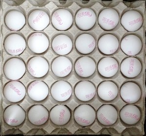 تخم مرغ سیمرغ شانه ای