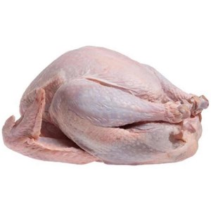 بوقلمون گرم فله