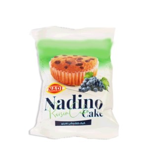 کیک کشمشی نادینو (نادی) 36ع