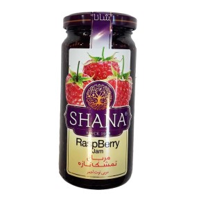مربا تمشک تازه شانا 310گرم