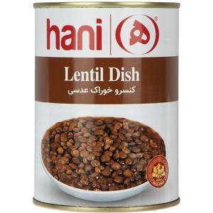 خوراک عدسی هانی 380گرمی