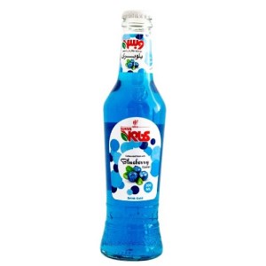 نوشیدنی گازدار شیشه بلوبری ساندیس وبس