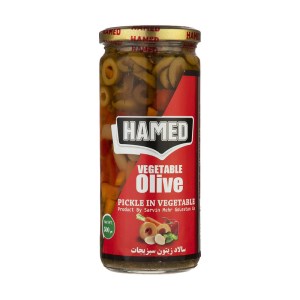 زیتون مخلوط حامد زیتون 500گرم