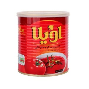 رب گوجه اویلا 800 گرم